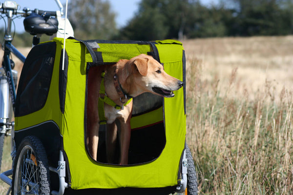 Fahrradanhänger Hund: Erleichtert die Radtour mit deinem Vierbeiner!